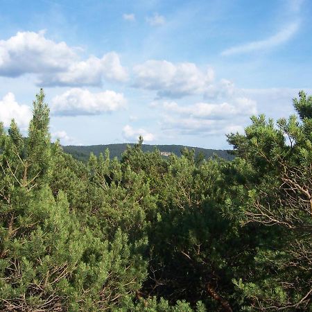 Ferienwohnung Am Pfaffenfels Schönau Eksteriør bilde
