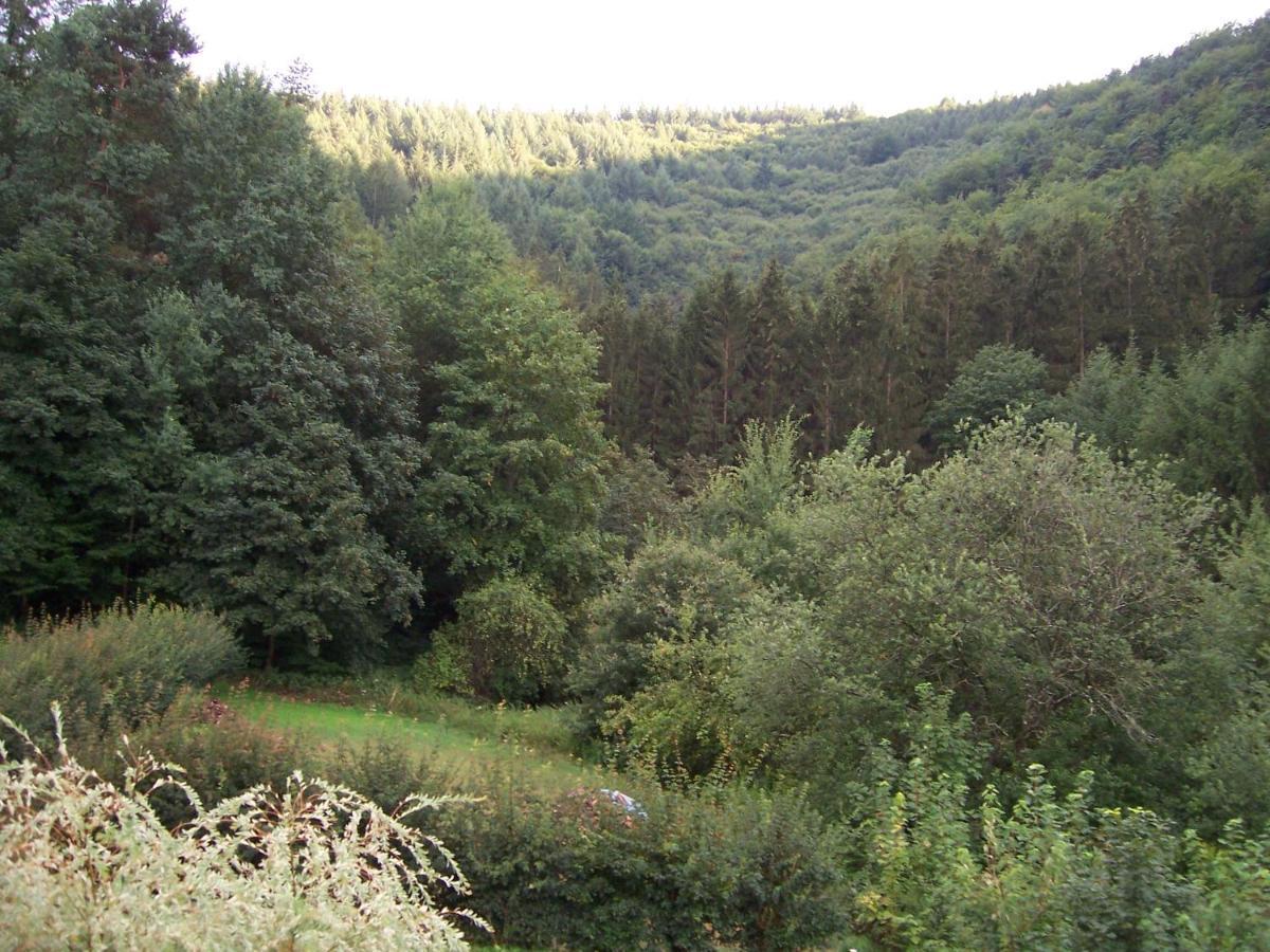 Ferienwohnung Am Pfaffenfels Schönau Eksteriør bilde