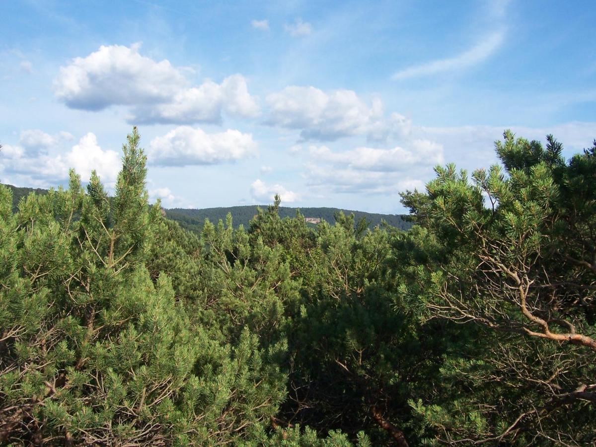 Ferienwohnung Am Pfaffenfels Schönau Eksteriør bilde